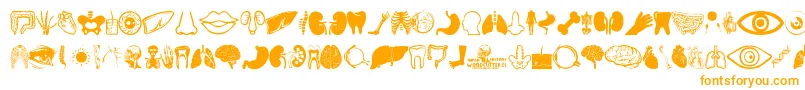Human Anatomy Font – Orange Fonts on White Background