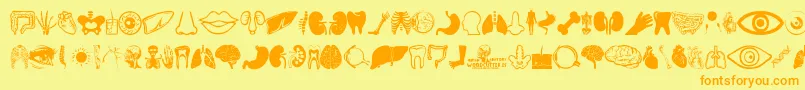 Human Anatomy-Schriftart – Orangefarbene Schriften auf gelbem Hintergrund
