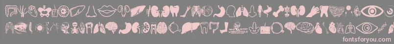 Human Anatomy Font – Pink Fonts on Gray Background