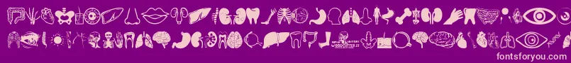 Human Anatomy Font – Pink Fonts on Purple Background