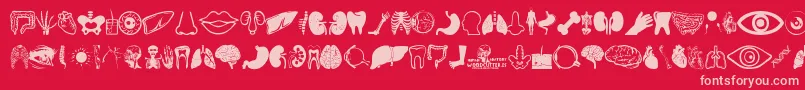 Fonte Human Anatomy – fontes rosa em um fundo vermelho