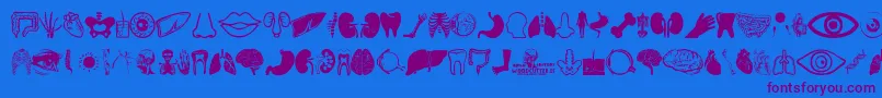Human Anatomy Font – Purple Fonts on Blue Background