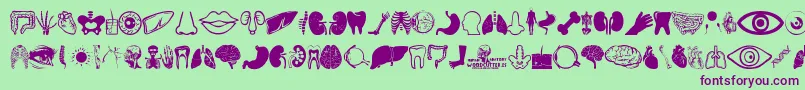 Human Anatomy-Schriftart – Violette Schriften auf grünem Hintergrund