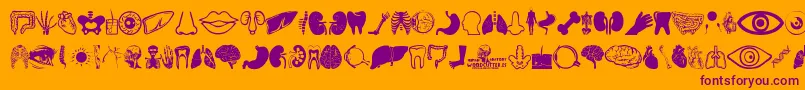Police Human Anatomy – polices violettes sur fond orange