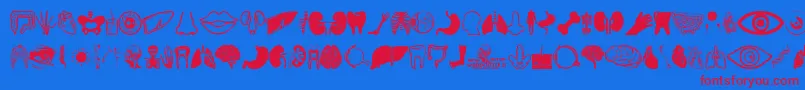 フォントHuman Anatomy – 赤い文字の青い背景