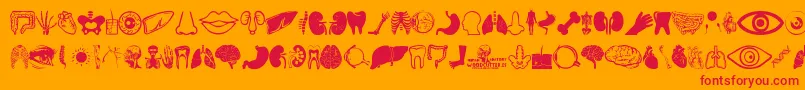 Czcionka Human Anatomy – czerwone czcionki na pomarańczowym tle