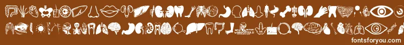 フォントHuman Anatomy – 茶色の背景に白い文字