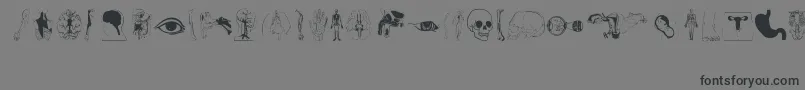 Human Body Parts-Schriftart – Schwarze Schriften auf grauem Hintergrund