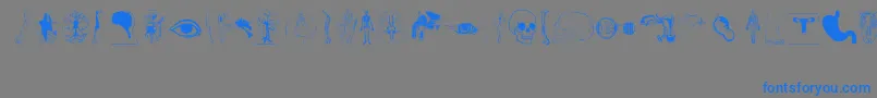 More about Human Body Parts Font Human Body Parts Font – Blue Fonts on Gray Background
