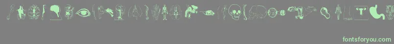 Подробнее о шрифте Human Body Parts Шрифт Human Body Parts – зелёные шрифты на сером фоне
