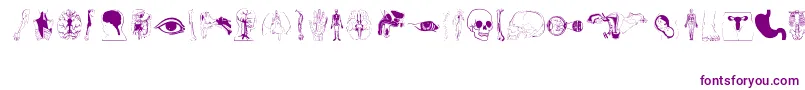Human Body Parts-Schriftart – Violette Schriften