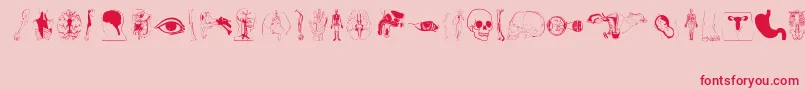 Czcionka Human Body Parts – czerwone czcionki na różowym tle