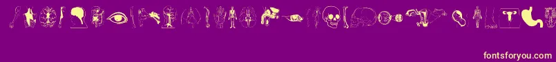 Human Body Parts Font – Yellow Fonts on Purple Background