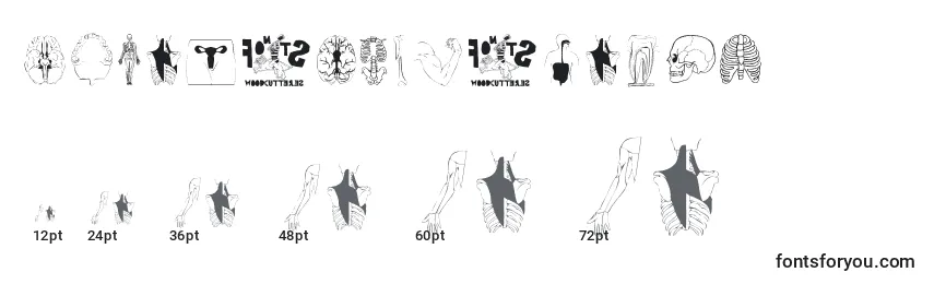 Human Body Parts Font Sizes