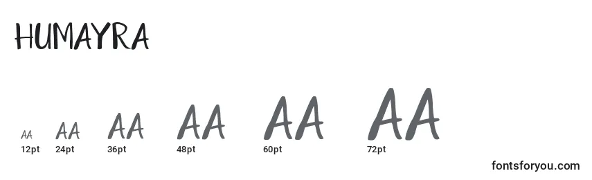 Размеры шрифта Humayra