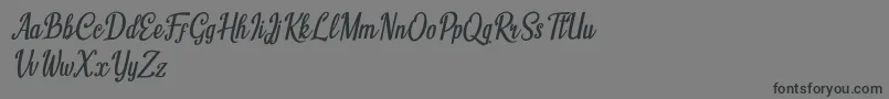 フォントHumble Cafe Italic – 黒い文字の灰色の背景