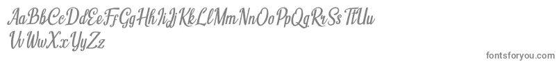 Humble Cafe Italic Font – Gray Fonts on White Background