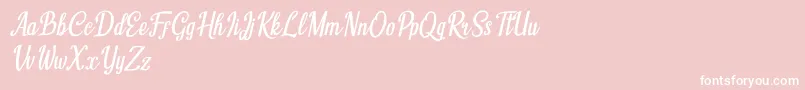 Humble Cafe Italic Font – White Fonts on Pink Background