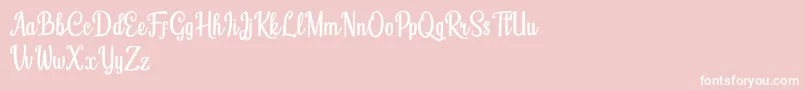 Humble Cafe Font – White Fonts on Pink Background