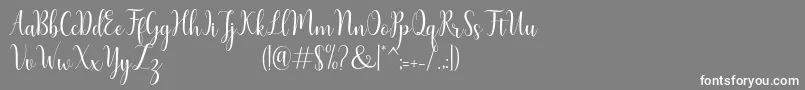 フォントHumble Script – 灰色の背景に白い文字