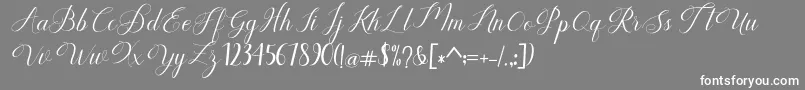 Humilde regular Font – White Fonts on Gray Background