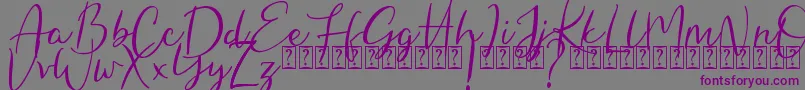 Hungaria Font – Purple Fonts on Gray Background