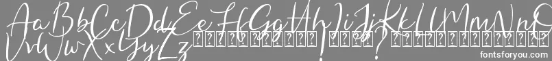 Hungaria Font – White Fonts on Gray Background