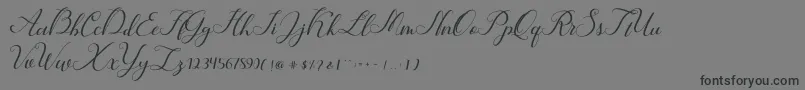 Hunter Font – Black Fonts on Gray Background
