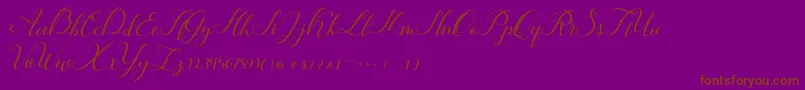 Hunter-fontti – ruskeat fontit violetilla taustalla