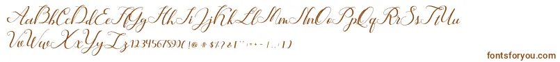 Шрифт Hunter – коричневые шрифты на белом фоне