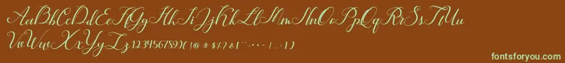 Hunter Font – Green Fonts on Brown Background