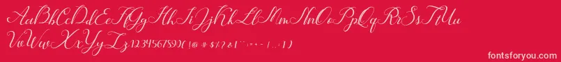 Hunter Font – Pink Fonts on Red Background