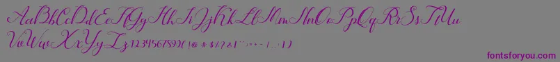 Шрифт Hunter – фиолетовые шрифты на сером фоне
