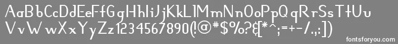 Hunter Font – White Fonts on Gray Background