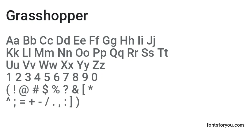 characters of grasshopper font, letter of grasshopper font, alphabet of  grasshopper font