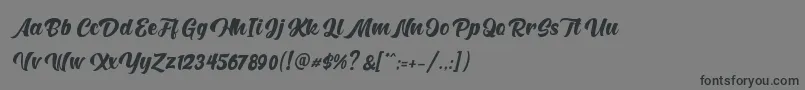 Hunters Font – Black Fonts on Gray Background