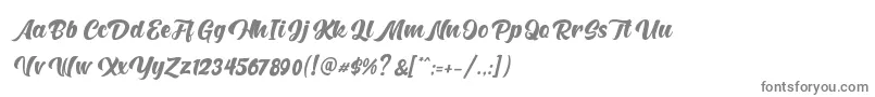 フォントHunters – 白い背景に灰色の文字