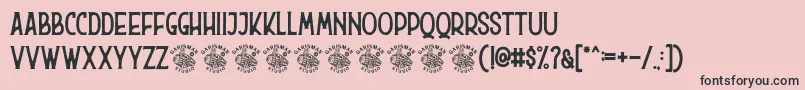 Hurson Font – Black Fonts on Pink Background