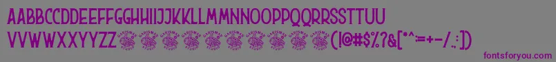 Hurson-Schriftart – Violette Schriften auf grauem Hintergrund