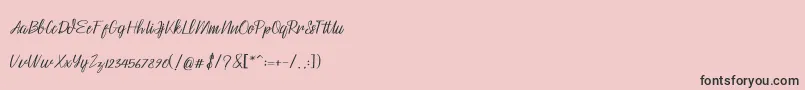 fuente Husna – Fuentes Negras Sobre Fondo Rosa