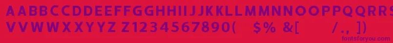 HUSTLE 6 free personal use Font – Purple Fonts on Red Background