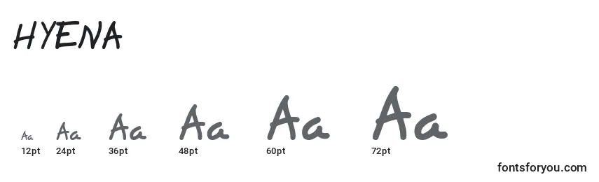 Размеры шрифта HYENA (130038)