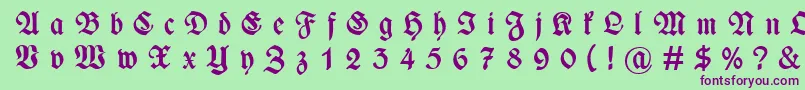 WieynckfrakturGesperrtfettunz1l Font – Purple Fonts on Green Background