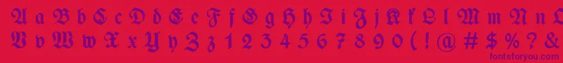 WieynckfrakturGesperrtfettunz1l Font – Purple Fonts on Red Background