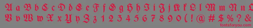 WieynckfrakturGesperrtfettunz1l Font – Red Fonts on Gray Background