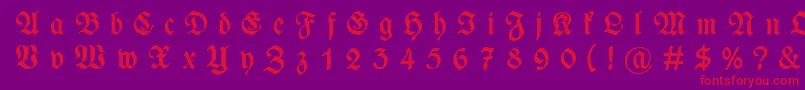 WieynckfrakturGesperrtfettunz1l Font – Red Fonts on Purple Background