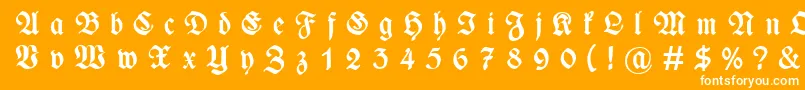 フォントWieynckfrakturGesperrtfettunz1l – オレンジの背景に白い文字