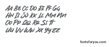 フォントHype Quarter Font