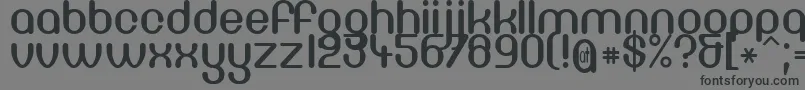 Df667Chlorine Font – Black Fonts on Gray Background