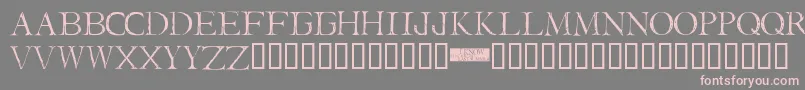 I Still Know Font – Pink Fonts on Gray Background